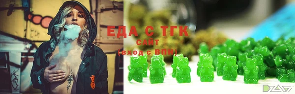 тгк Алзамай
