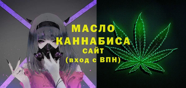 гашик Сатка