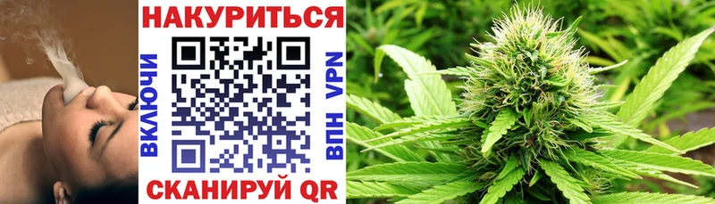 Канабис семена  Горбатов 